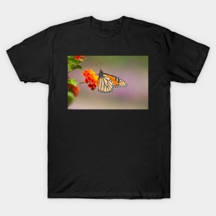 The Big Sipper T-Shirt